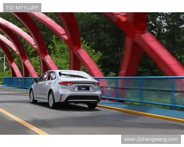 赛后复盘：杭州极限运动队vs成都极限运动队的力量